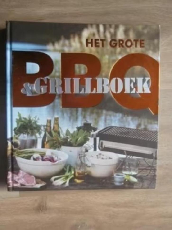 Het grote BBQ- en Grillboek - Malin Ottosson, Boeken, Kookboeken, Zo goed als nieuw, Verzenden