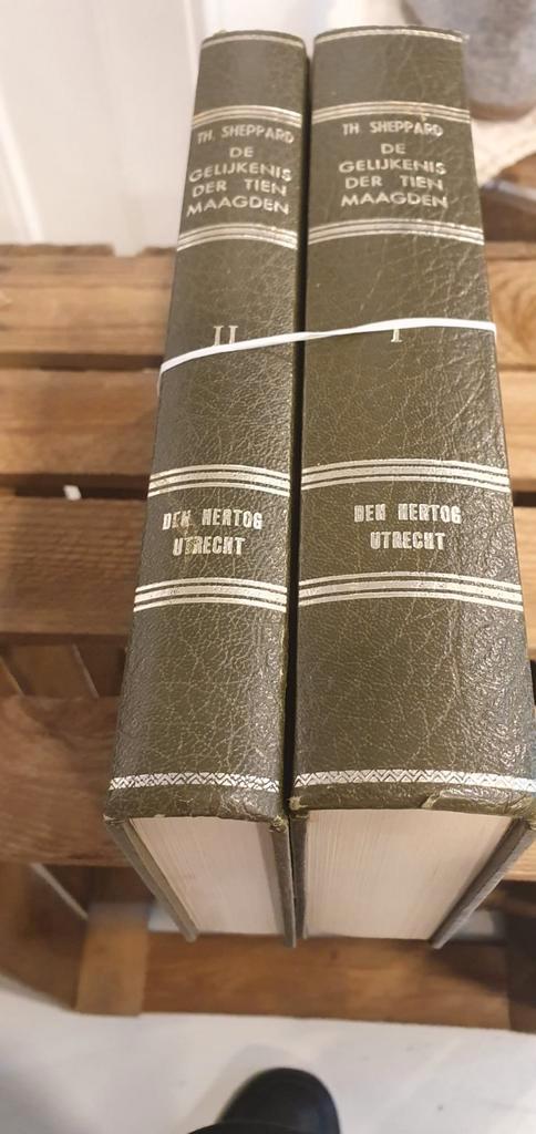 Thomas Sheppard. De gelijkenis der tien maagden. 2 delen., Boeken, Godsdienst en Theologie, Gelezen, Christendom | Protestants