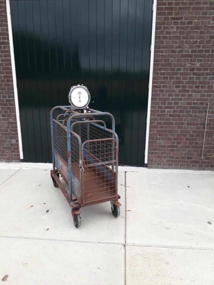 Doorloopweegschaal schapenweegschaal dieren weegschaal weger, Dieren en Toebehoren, Overige Dieren-accessoires, Gebruikt, Ophalen