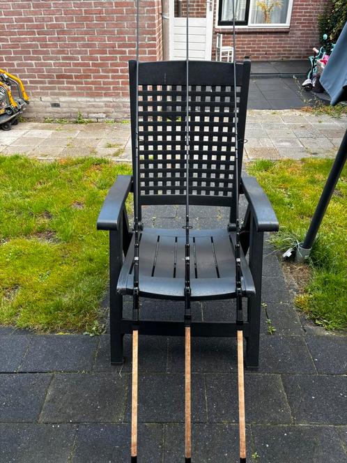 Karper hengels prologic, Watersport en Boten, Hengelsport | Karpervissen, Zo goed als nieuw, Complete set, Ophalen