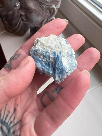 Blauwe Kyaniet Ruw - Prachtig Mineraal beschikbaar voor biedingen