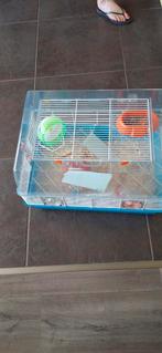 Hamster back, Dieren en Toebehoren, Kooi, Minder dan 75 cm, Hamster, Ophalen