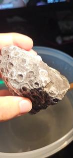 Koraal Fossiel - Prachtig Stuk, Verzamelen, Mineralen en Fossielen, Ophalen of Verzenden, Fossiel