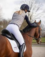 NIEUWE witte rijbroek kniegrip, Dieren en Toebehoren, Ophalen of Verzenden, Zo goed als nieuw, Overige soorten, Onderkleding