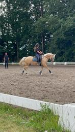 Zeer Goede en leuke 5 jarige  D-sport pony merrie 1,44, Dieren en Toebehoren, Pony's, Gechipt, Ruin, 3 tot 6 jaar, Recreatiepony