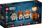Lego 40495 Harry, Hermoine, Ron & Hagrid: Nieuw&Sealed, Kinderen en Baby's, Speelgoed | Duplo en Lego, Ophalen of Verzenden, Nieuw