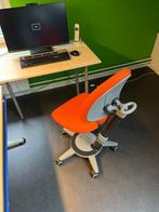 Moll Maximo Forte, Ophalen, Gebruikt, Oranje, Bureaustoel