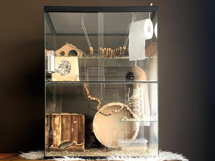 Gerbilarium 60x40x80 kopen, Dieren en Toebehoren, Knaagdieren en Konijnen | Hokken en Kooien, Nieuw, Hok, 60 tot 90 cm, Minder dan 75 cm