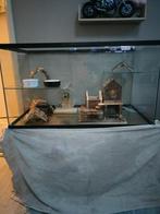 Hamster/muizen terrarium te koop, Dieren en Toebehoren, Knaagdieren en Konijnen | Hokken en Kooien, Gebruikt, Hok, Hamster, Ophalen