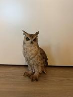 Dierenbeeld Uil te koop, Verzamelen, Beelden en Beeldjes, Ophalen, Zo goed als nieuw, Dier