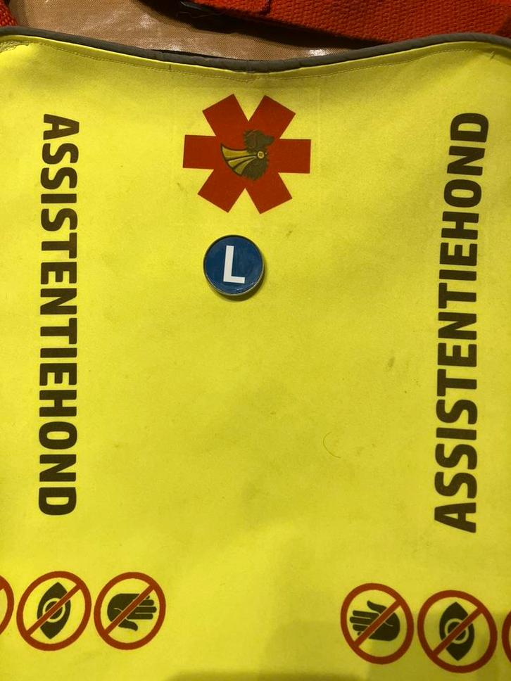 Pin “L” – Leerling Assistentiehond/hulphond in opleiding, Dieren en Toebehoren, Hondenhalsbanden en Penningen, Nieuw, Handgemaakt