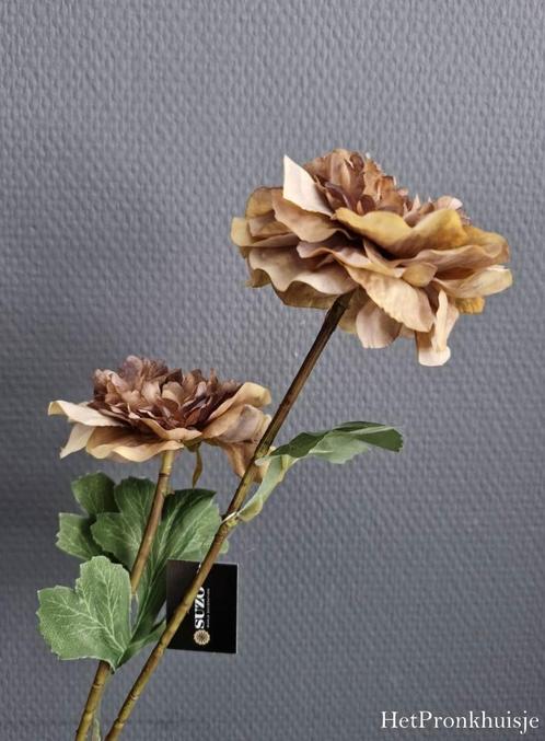 Nieuw! Anemoon. Cappuccino landelijk sober stoer, Huis en Inrichting, Woonaccessoires | Kunstplanten en Kunstbloemen, Nieuw, Ophalen of Verzenden