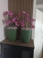 2 mooi olijf potten met 2 rosé orgideeen  te koop, Ophalen of Verzenden, Zo goed als nieuw, Binnen