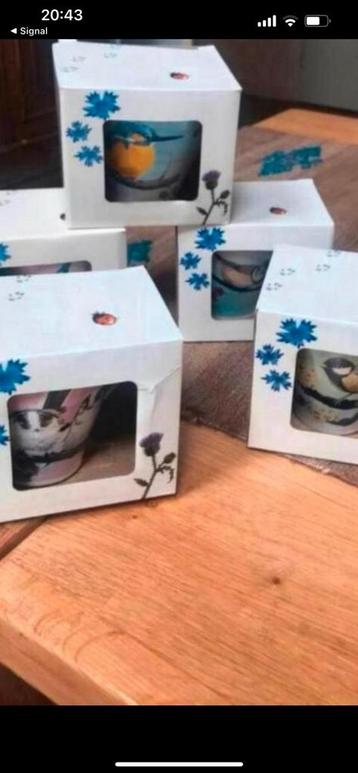 Beker, mok, 5 x beschikbaar voor biedingen