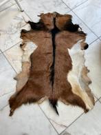 Geit kleed (echt), 50 tot 100 cm, Bruin, Ophalen of Verzenden, Rechthoekig