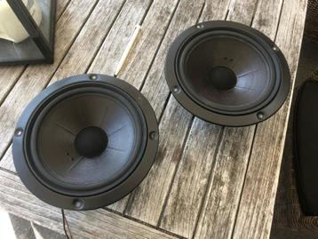 Te Koop: Set woofers Siare 23 S. beschikbaar voor biedingen