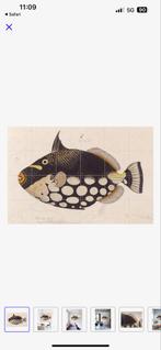 IXXI Muurplaat Kogelvis 100x80 cm, Huis en Inrichting, Ophalen of Verzenden, Zo goed als nieuw