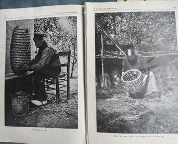 1929, 11 X BIJEN, IMKER, DAR, IEMENHOF, BIJENVOLK. beschikbaar voor biedingen