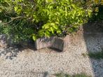 GRATIS op te halen., Tuin en Terras, Ophalen of Verzenden, Gebruikt, Overige materialen