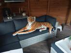 Grote Knuffel Tijger - 80cm, Ophalen of Verzenden