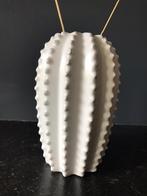 Cactusvaas wit, Ophalen of Verzenden, Nieuw, Wit, Minder dan 50 cm