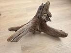 Aquarium hout, Ophalen of Verzenden, Zo goed als nieuw, Plant(en), Steen of Hout