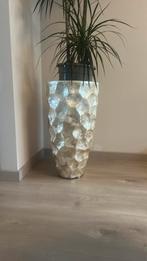 Witte/beige schelpen vaas, Ophalen, Nieuw, Wit, 50 tot 75 cm