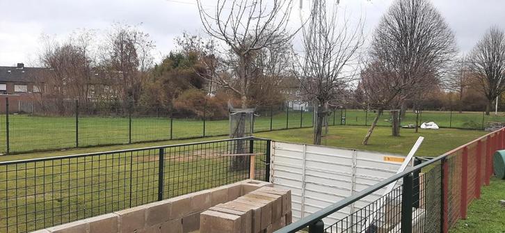 Weidegang aangeboden, Dieren en Toebehoren, Stalling en Weidegang, Weidegang