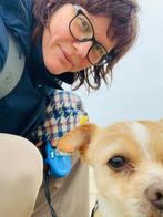 Oppas huisdieren, uitlaatservice hond, kat, Overige vormen, Overige niveaus, Geschikt als bijbaan, Variabele uren