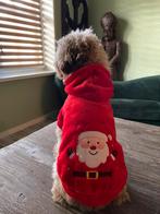 Kersttrui hond gratis ophalen, Ophalen, Zo goed als nieuw