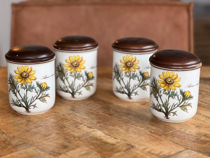 Villeroy & Boch - Botanica - 4x potje, Huis en Inrichting, Keuken | Servies, Zo goed als nieuw, Overige typen, Overige stijlen