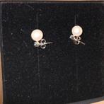 Abrazi oorknopjes/parels, Wit, Nieuw, Ophalen of Verzenden, Knopjes of Stekers