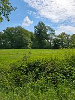 Gezocht: stukje land om te pachten, Dieren en Toebehoren, Stalling en Weidegang