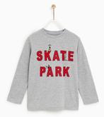 Zara jongens longsleeve t-shirt grijs rood Skate Park 152, Kinderen en Baby's, Kinderkleding | Maat 152, Nieuw, Jongen, Ophalen of Verzenden