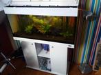 Aquarium op kastje met pomp, UV-C en warmte-element, Dieren en Toebehoren, Vissen | Aquaria en Toebehoren, Ophalen, Gebruikt, Leeg aquarium