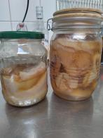 kombucha scoby, Diversen, Ophalen