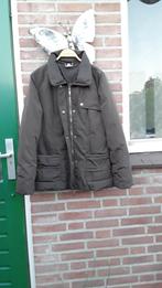 Dons! Warme winter jas van BANDOLERA, 40 Bruin, Kleding | Dames, Jassen | Winter, Maat 38/40 (M), Bruin, Zo goed als nieuw, Verzenden