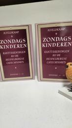 Veldkamp, Ds. H., Zondagskinderen dl. 1 en 2, Boeken, Ophalen of Verzenden, Gelezen, Christendom | Protestants