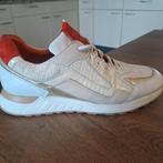 Piedi nudi schoenen maat 40 ophalen in uden, Kleding | Dames, Schoenen, Ophalen, Zo goed als nieuw, Sneakers of Gympen