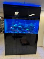 Zeewater aquarium leeg, Dieren en Toebehoren, Vissen | Aquaria en Toebehoren, Ophalen, Gebruikt, Wim@aquariumbrouwers.nl, 4701 ES