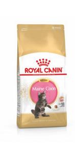 Maine coon kitten brokken 4 kg., Ophalen of Verzenden, Kat