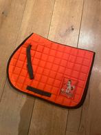 Shetlander première oranje dekje, Dieren en Toebehoren, Ophalen of Verzenden, Zo goed als nieuw