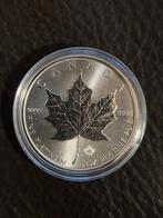 Canadese Maple Leaf Platinum Munt, Ophalen of Verzenden, Noord-Amerika, Losse munt