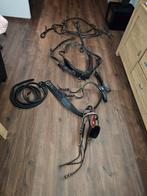 Friese paarden tuig / men tuig, Dieren en Toebehoren, Ophalen, Overige soorten