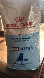 Royal canin gigant starter, Dieren en Toebehoren, Dierenvoeding, Ophalen of Verzenden, Hond