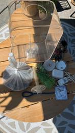 Biorb aquarium incl LED verlichting en alle toebehoren, Vis
