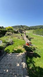 Tuinman: Hagen verwijderen, bomen knotten & kappen