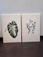 Set van 2 Wanddecoratie Prints - Botanisch, Huis en Inrichting, Woonaccessoires | Schilderijen, Tekeningen en Foto's, Ophalen