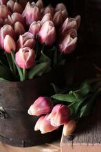 Bos tulpen roze met groen blad, Www.jufbrocante.nl, Www.jufbrocante.nl, Nieuw, Ophalen of Verzenden