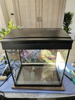 Aquarium, Dieren en Toebehoren, Ophalen, Gebruikt, Leeg aquarium